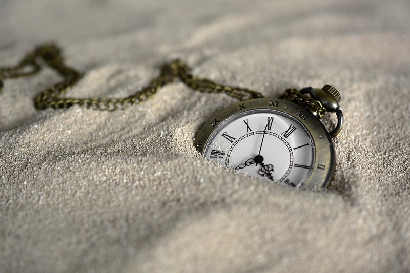 Time Agency Roles